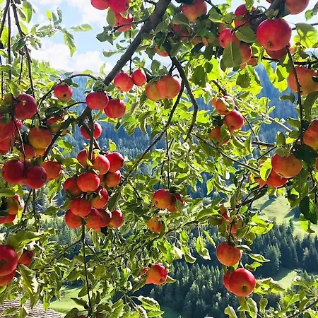 Spycher Niederwald By Interhome Σπίτι διακοπών *