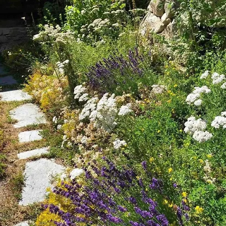 Vakantiehuis Spycher Niederwald By Interhome *