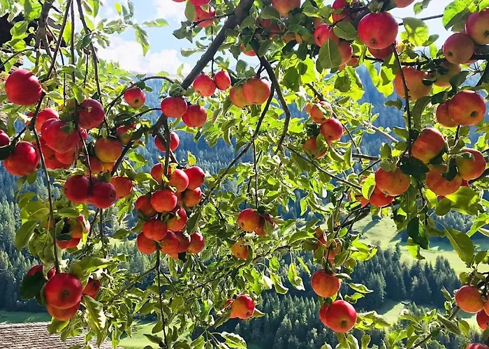 Spycher Niederwald By Interhome Vakantiehuis *