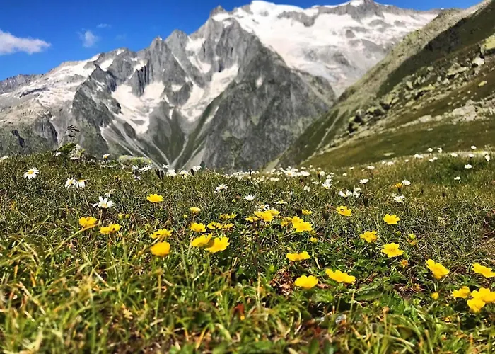 Spycher Niederwald By Interhome Vakantiehuis Goms