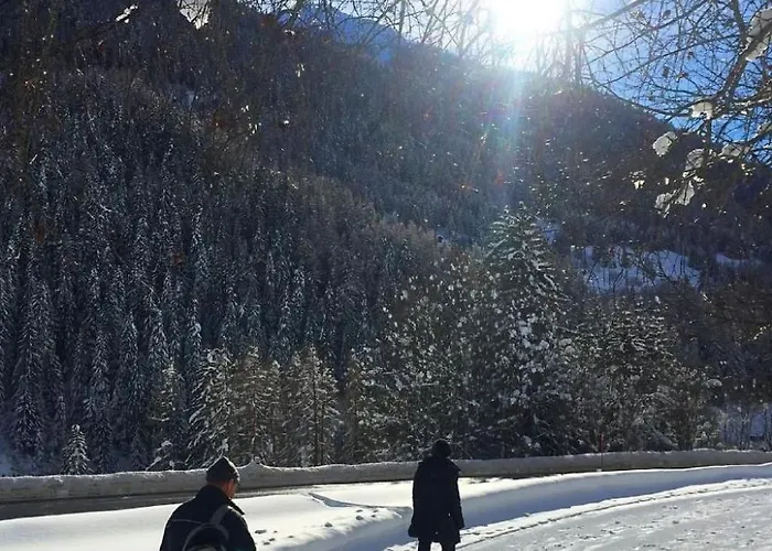 Vakantiehuis Spycher Niederwald By Interhome *